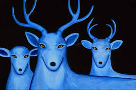 The resort will be black and blue deer in Aravalli region
