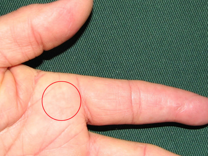 palmistry index finger 