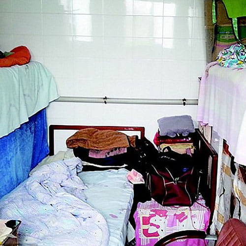 parents lived in toilet for past 10 years