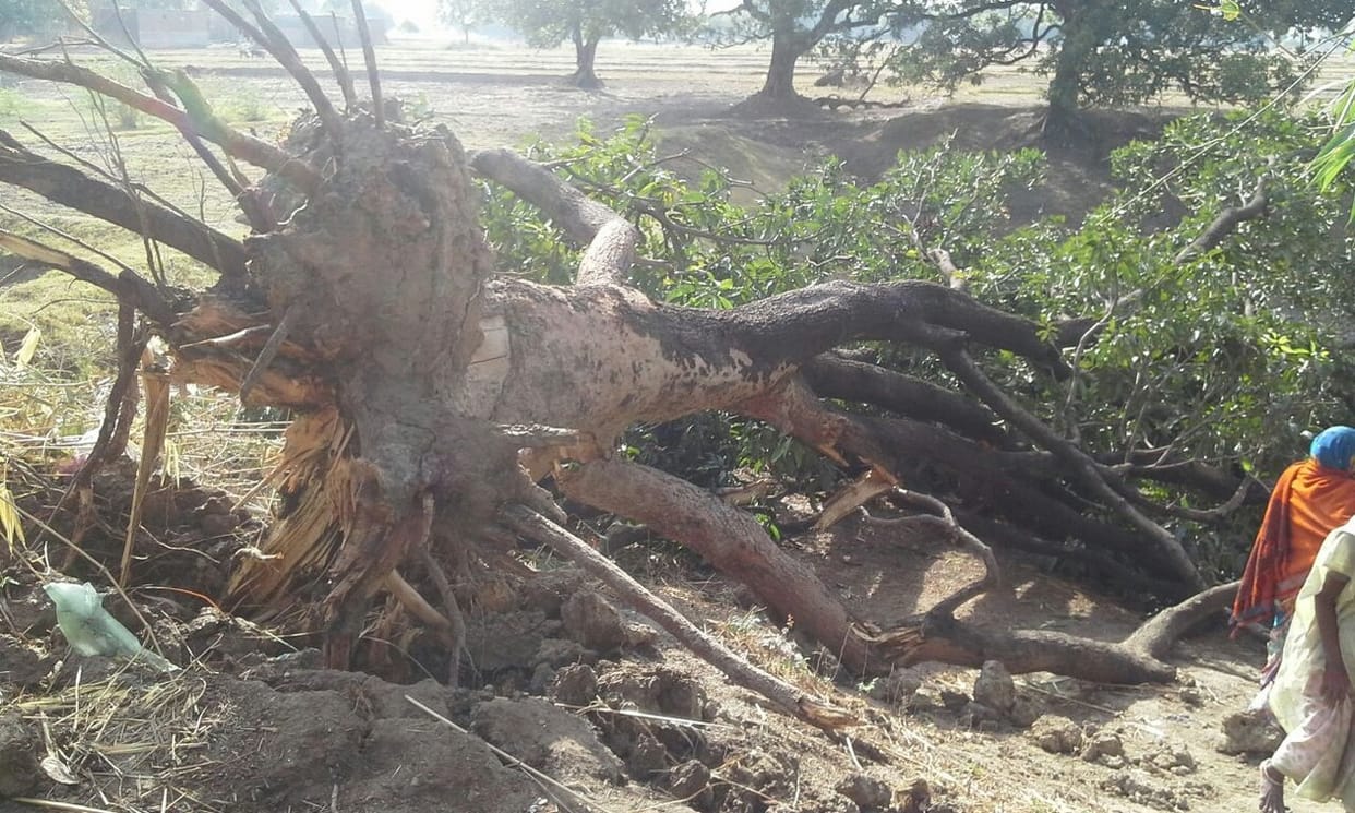 Rain, storm devastation, killing three