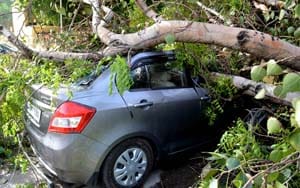 Four were killed in the devastation of Gale Storm