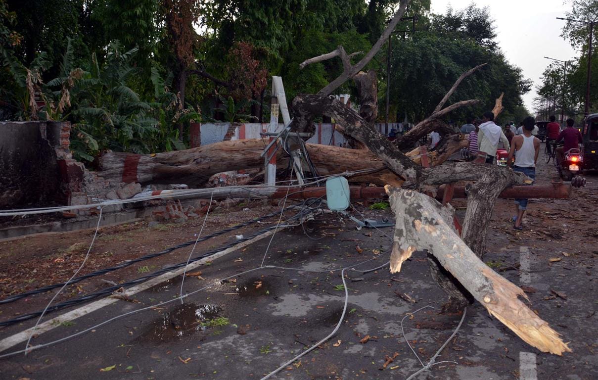 uplc facing loss of 34 lacs due to storm 