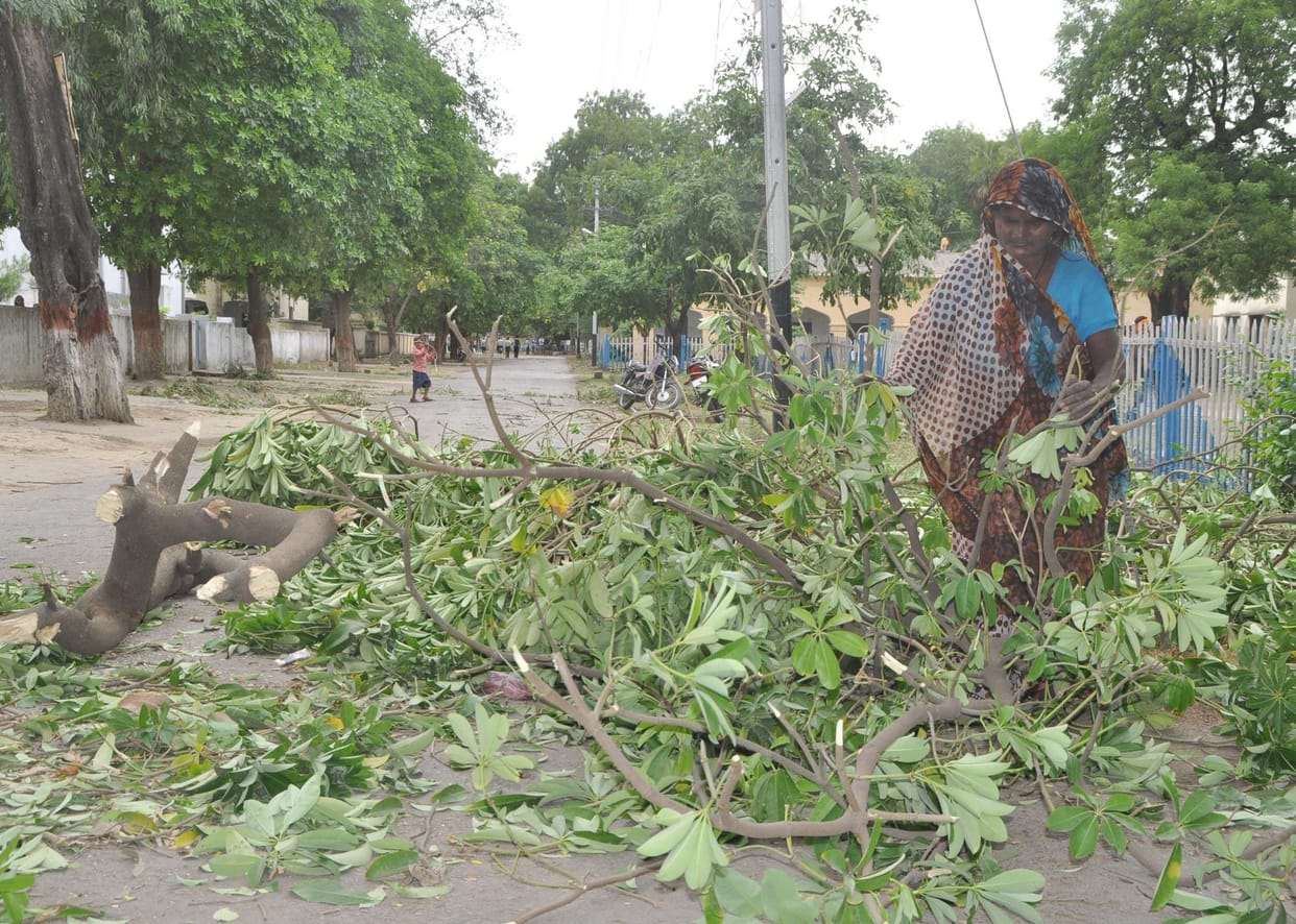 The strong winds downed trees, flown Tinsed