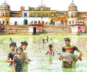 Thousands of fish in STEP Ram Mrin