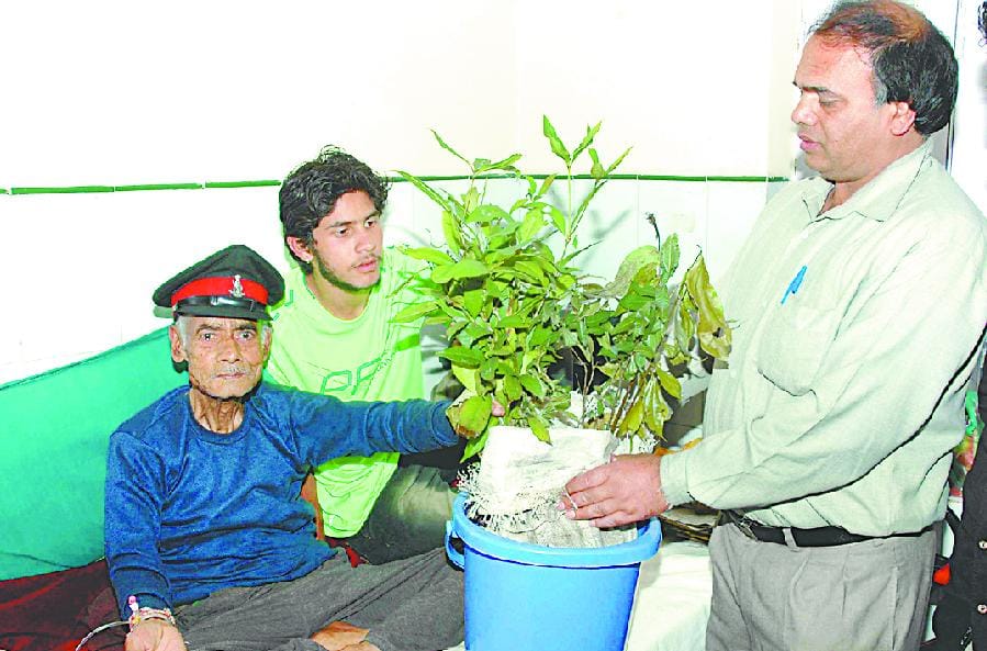 Rathore Vrikshmitra plants are dividing even during illness