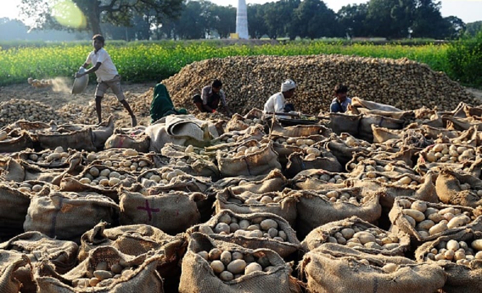 Potatoes price risen due to deficiency of production 