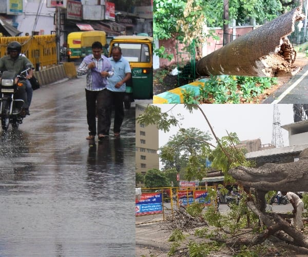 rain and fast wind in Lucknow.