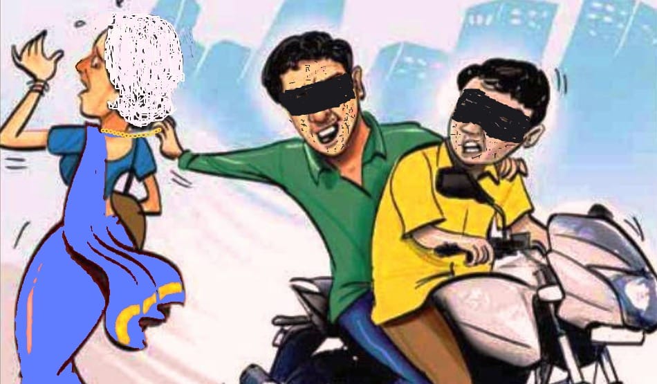 Haryana Government new scheme on Snatchers