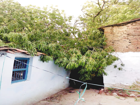 Old fell asleep on the roof of the storm injured