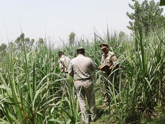 Three search Drinde The young man in custody