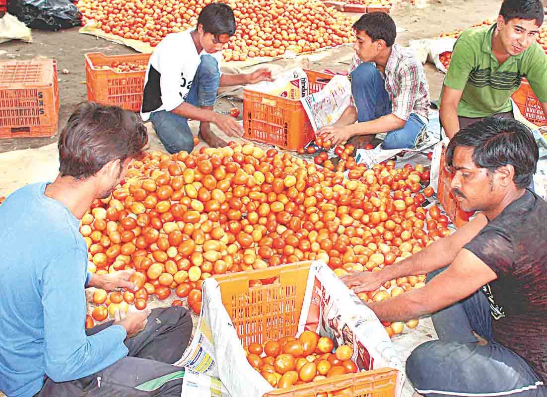 inflation, vegetable market, vegetable rates, tomato rates, chandigarh vegetable market, chandigarh