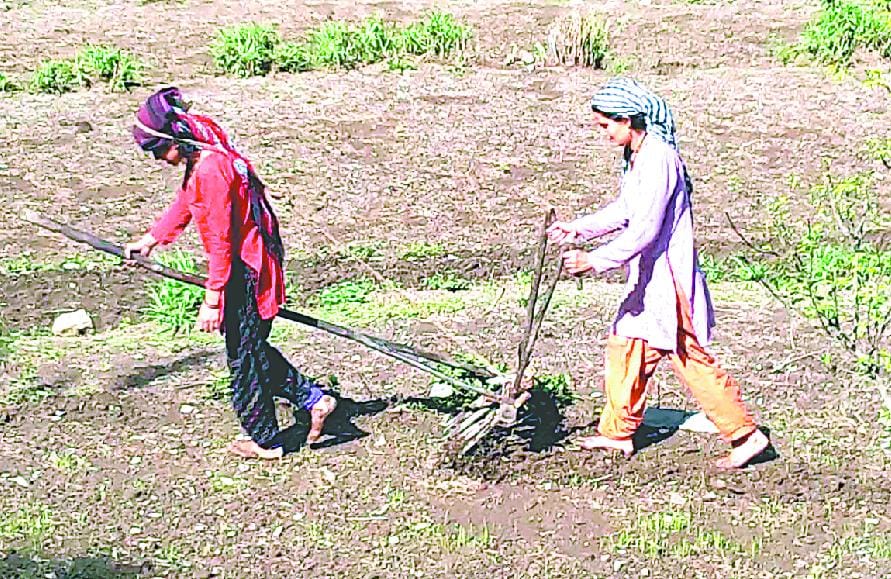 Difficult mountain to mountain life of women