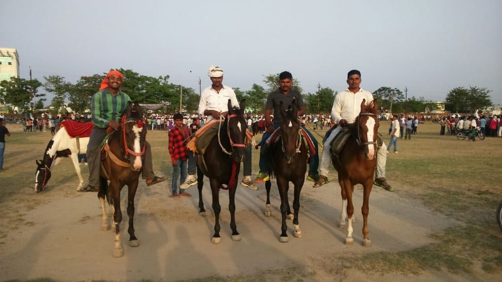 Horse riding on desi racing track, Pawan win the race