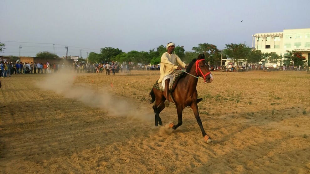 Horse riding on desi racing track, Pawan win the race