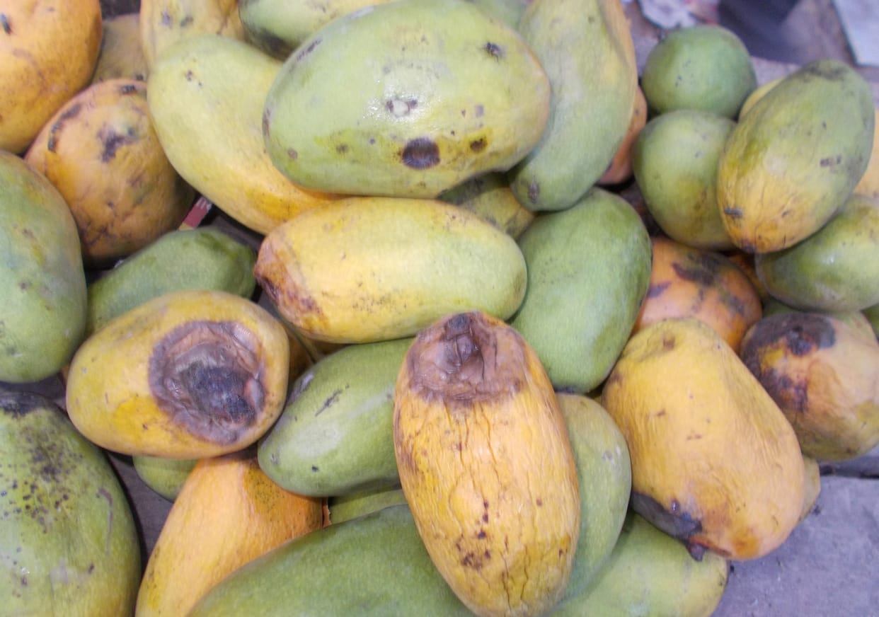 The risk of diarrhea by eating contaminated