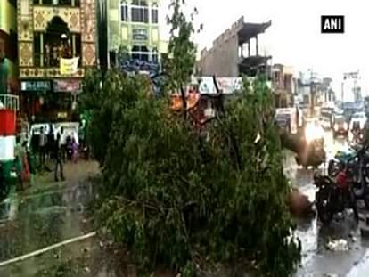 Strong winds uproot trees, damage electric poles 