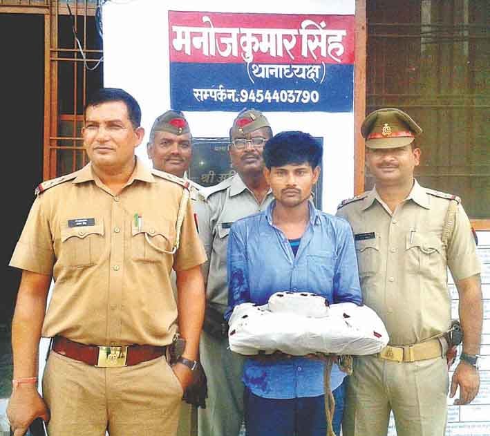 The plundering of tents businessman In one case arrested