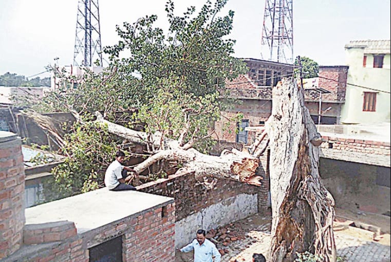 storm and rain in bijnor