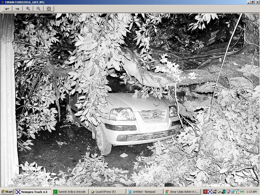 Gale Storm tree, the roof of a house collapsed