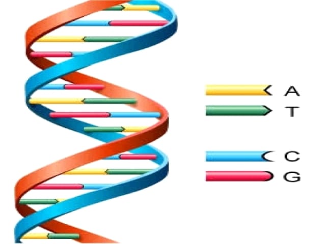 DNA testing in seven days, year-long wait for result
