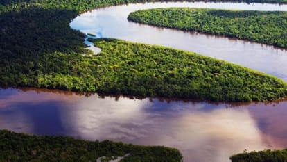 Do you know mystery of amazon river