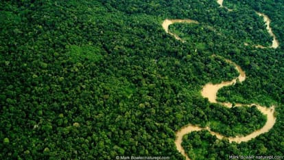 Do you know mystery of amazon river