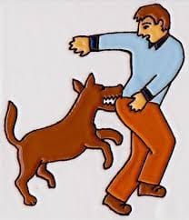 dog bite, kapurthala dog bite, stray dog bite child, kapurthala, amritsar