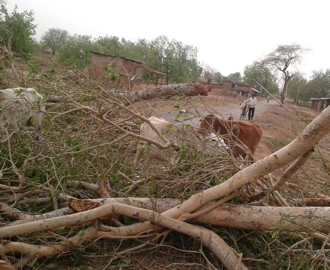 Storm damage, power failure