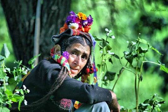  secret of the longevity of the Cargill Aryans will open the