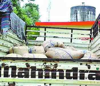 Villagers found 30 bags of grain