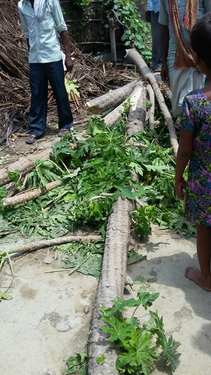 Woman died in strom