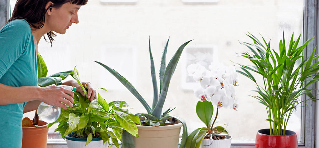 Tips to Protect Yourself from Unhealthy Air
