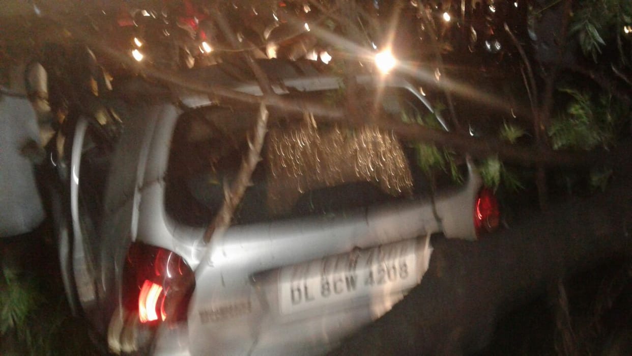 tree fell on the vehicles, three people died.