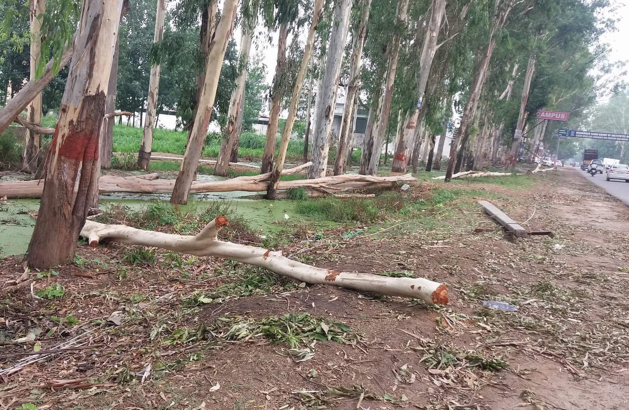  48 ghante baad bhee bijalee-paanee ke laale