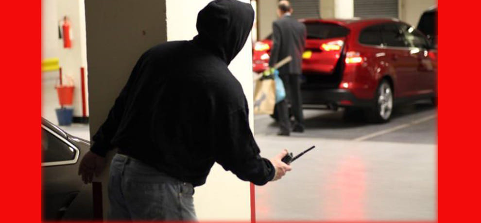 Students seized the car at gun point, Kirpan was in hand 