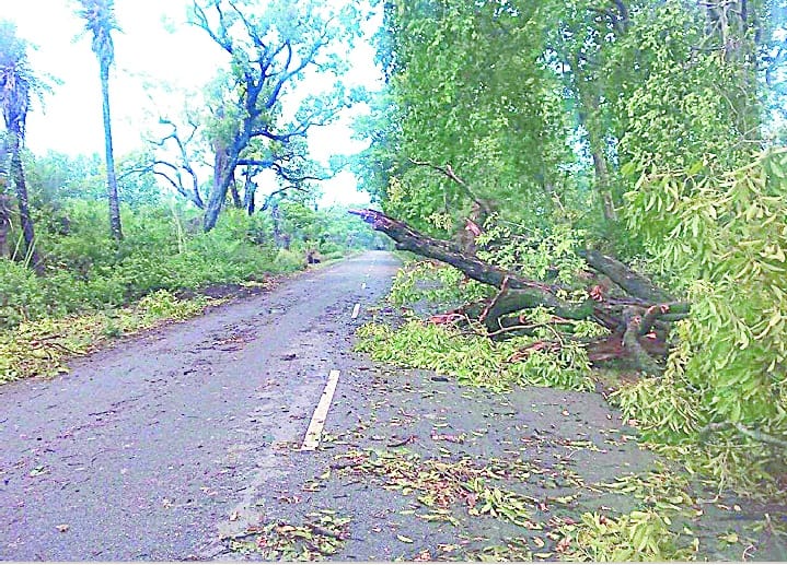 Storm damage