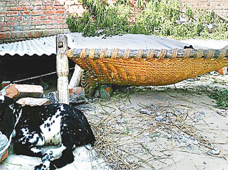 The farmer was killed and two of strong winds