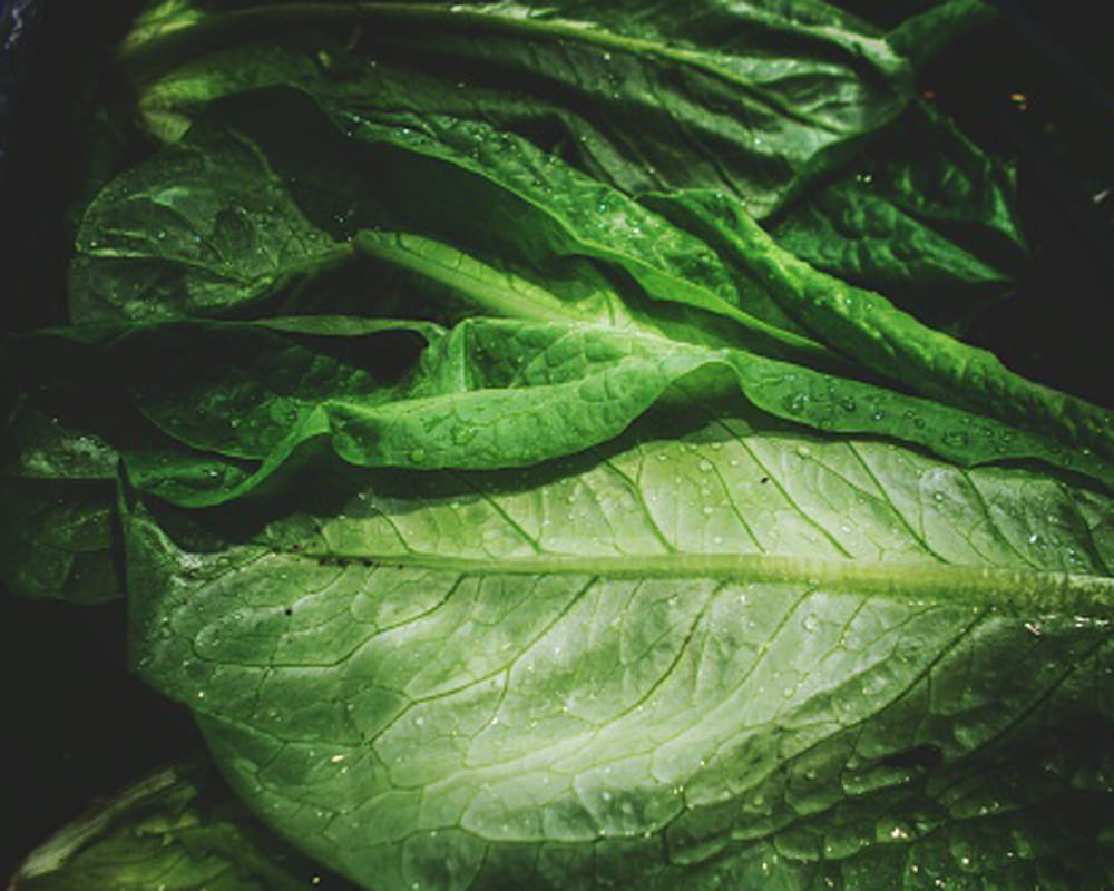 avoid these 5 food in monsoon season