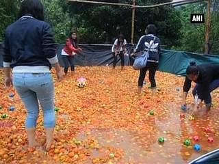 Shillong hosts India's first La Tomatina festival