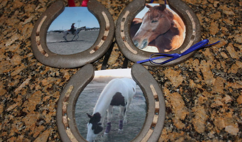 Jyotish Upay horseshoe removes all the problems from life know the benefits