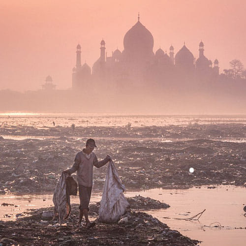 worlds best environmental photographs