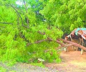 Power supply system Precarious 