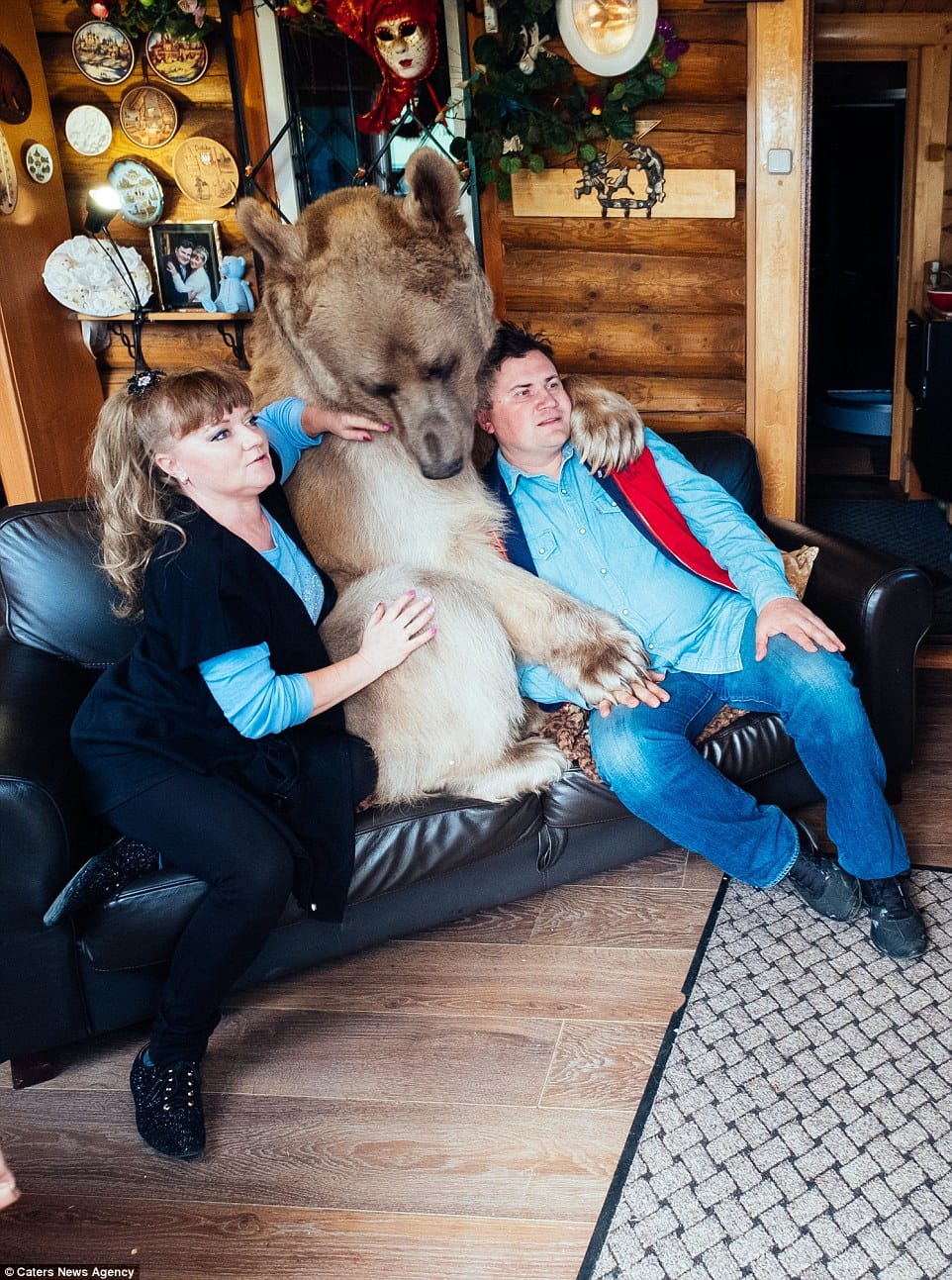  This Russian family have a bear just like Mowgli's Friend Baloo