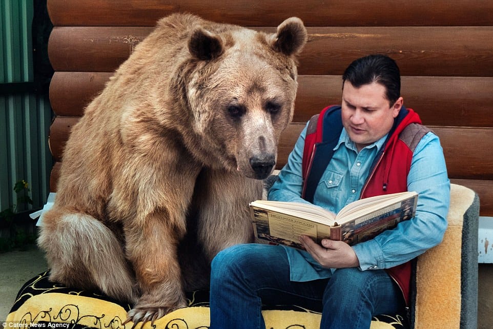  This Russian family have a bear just like Mowgli's Friend Baloo