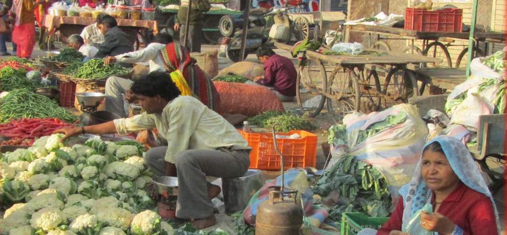 TVC in Delhi will be completed by July, will replace the small vendors