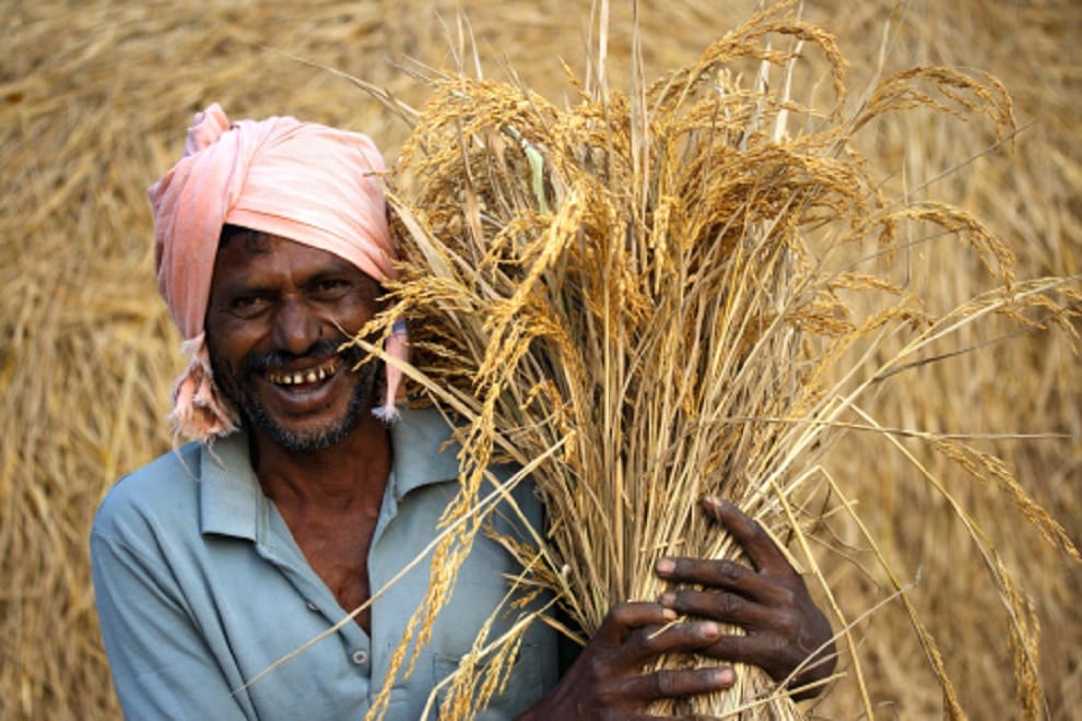 government increased the minimum support price