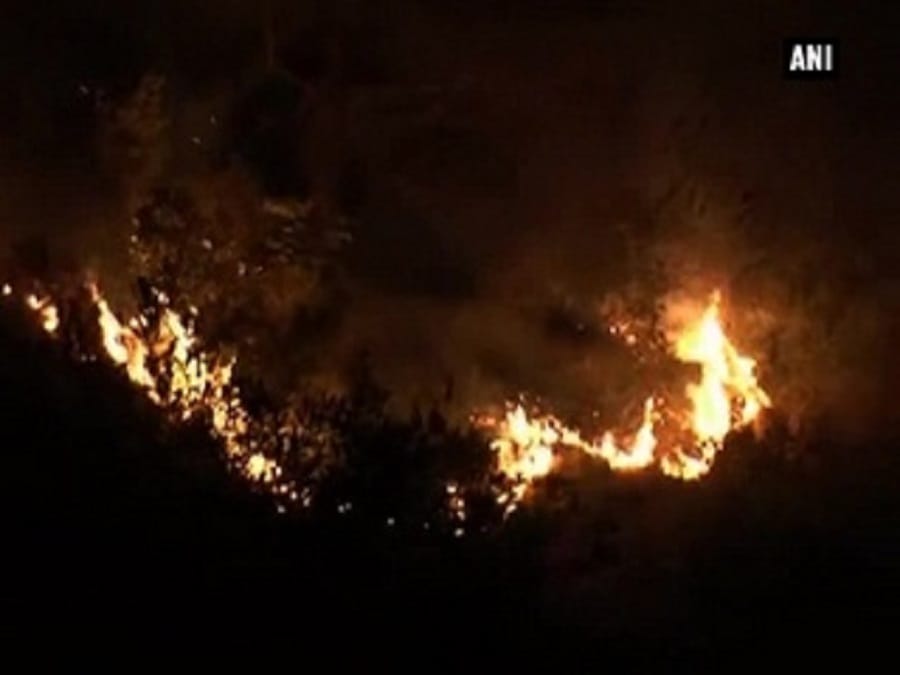 fire in rajouri forests