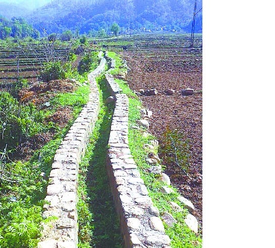 getting water sowing, tenants rage