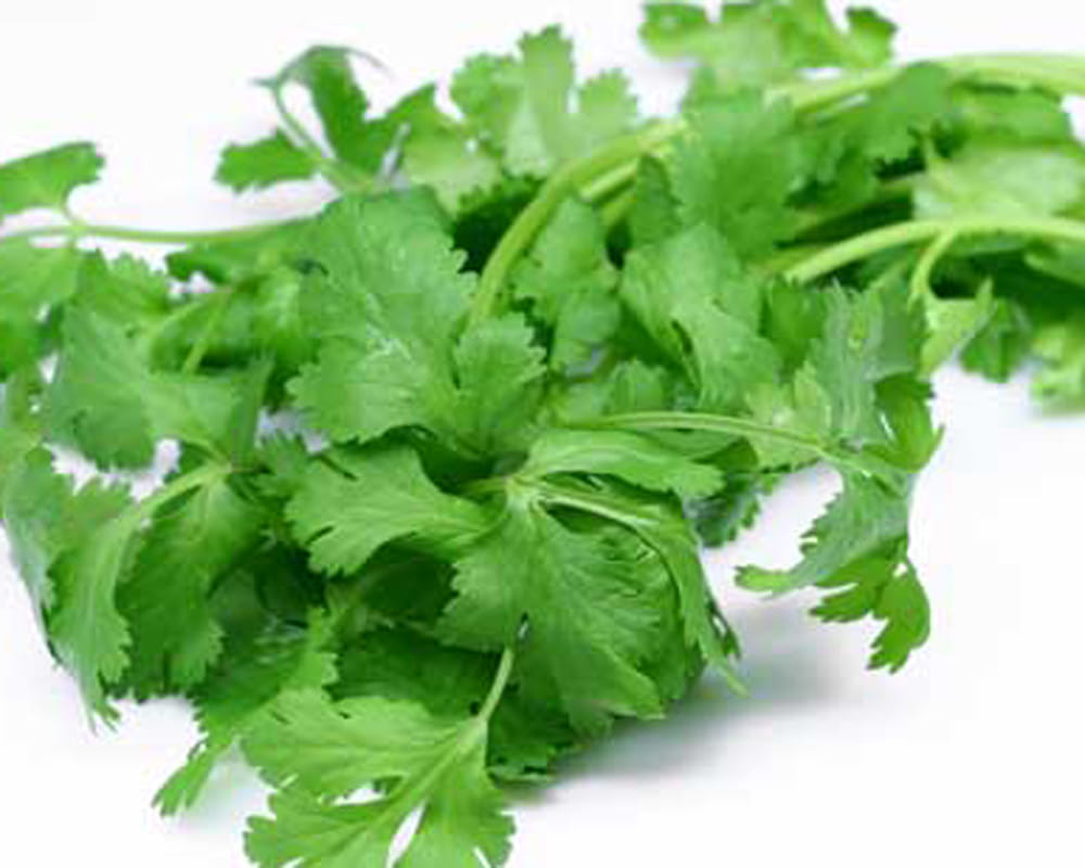 healthy vegetables for iron 
