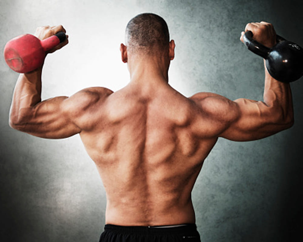 food to build muscle fast without any workout